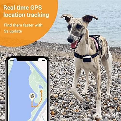 Pawfit 2 Pet GPS Tracker Activity Monitor Fully Waterproof GPS Tracker for Dogs and Large cats Pet Fitness Tracker Voice Recall Unlimited Range