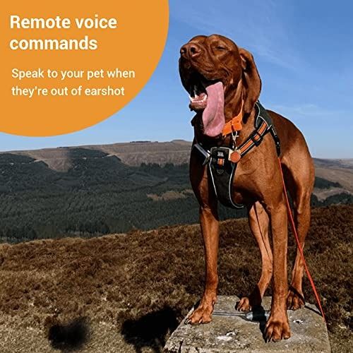 Pet fitness tracker hot sale