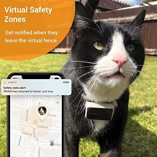 Paw tracker for cats clearance