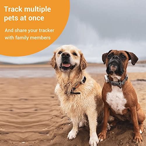 Pawfit new arrivals pet tracker