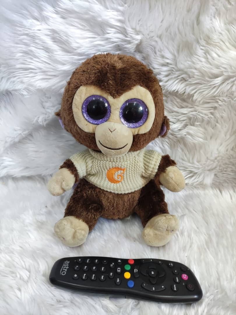TY Beanie Boos - Coconut Monkey, Hobbies & Toys, Toys & Games on Carousell