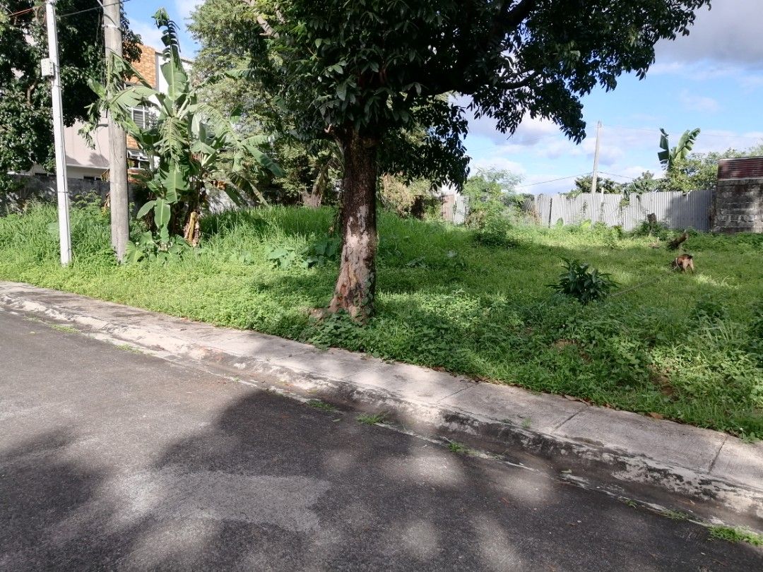 Villa Vienna Subdivision NEOPOLITAN 1B Greater Lagro Quezon City / 300