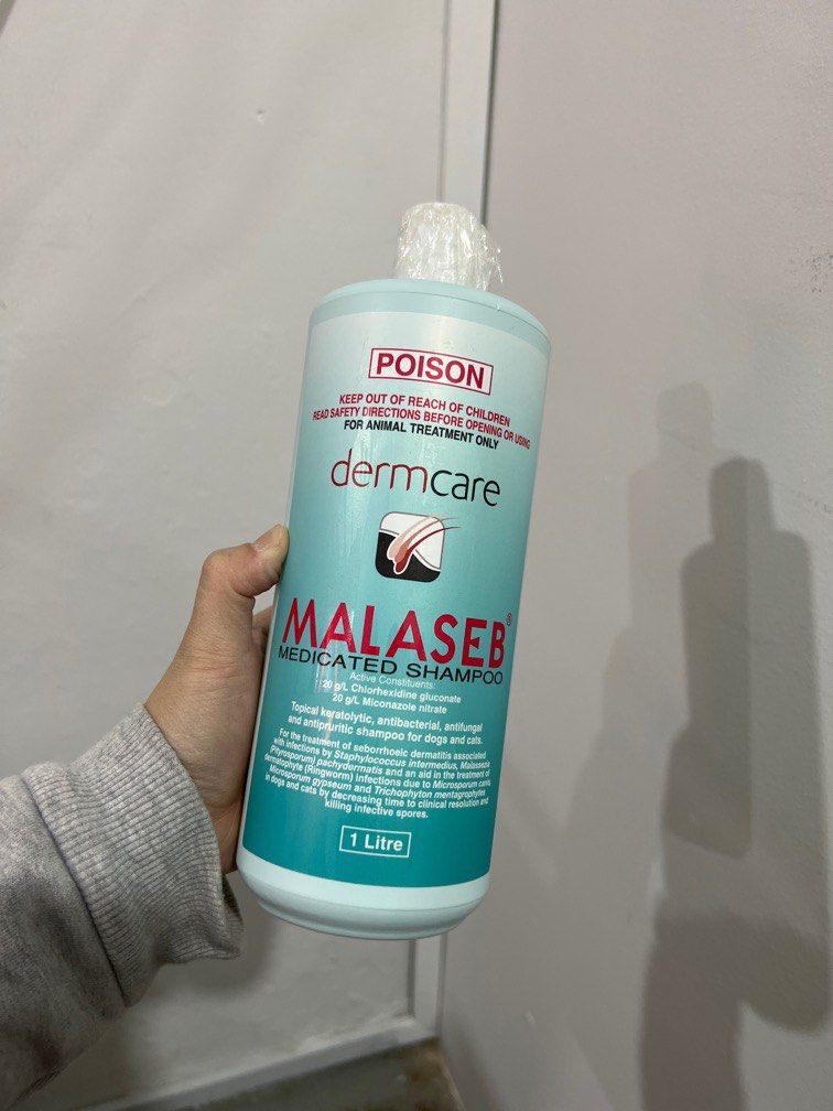 1L Malaseb Shampoo, Pet Supplies, Health & Grooming on Carousell