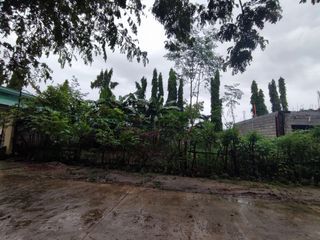 240 SQM Lot for sale in Northern Hills Subdivision Tarlac