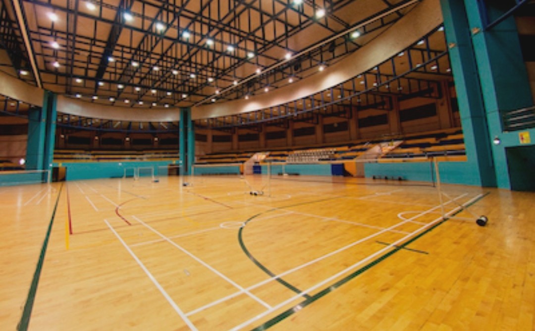 Synergy Sports (Indoor Sports Center) - Basketball, Badminton, Volleyball,  and Table Tennis