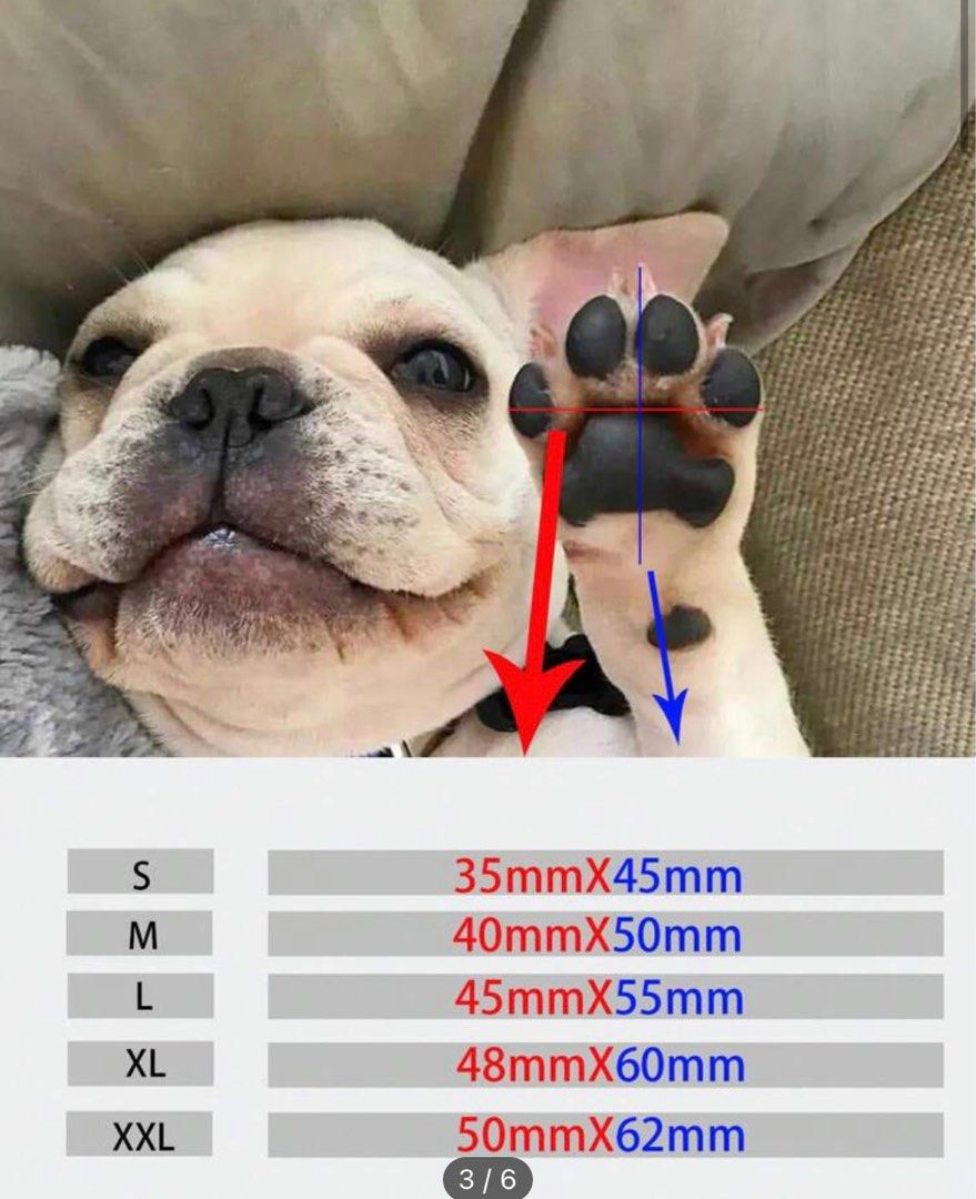 Dog shoes XXL, Pet Supplies, Homes & Other Pet Accessories on Carousell