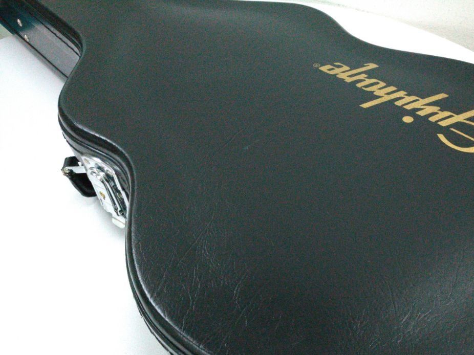 Epiphone les paul case used discount