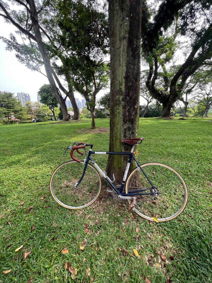 Gios hotsell vintage bike