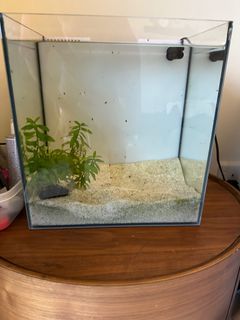 (Category: ) located in . Submitted by faststone_11435f (Listing ID 1246039435, Image 1). Description: .