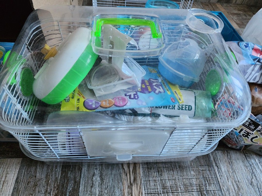 Free Hamster Starter Pack Pet Supplies Homes Other Pet