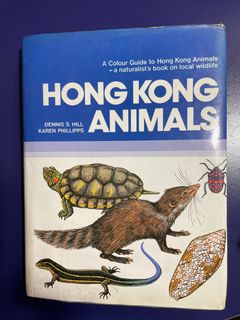 （分類：）位於 。 由 mchungf 提交（商品編號 1246042683，圖片 1）。簡介： 。