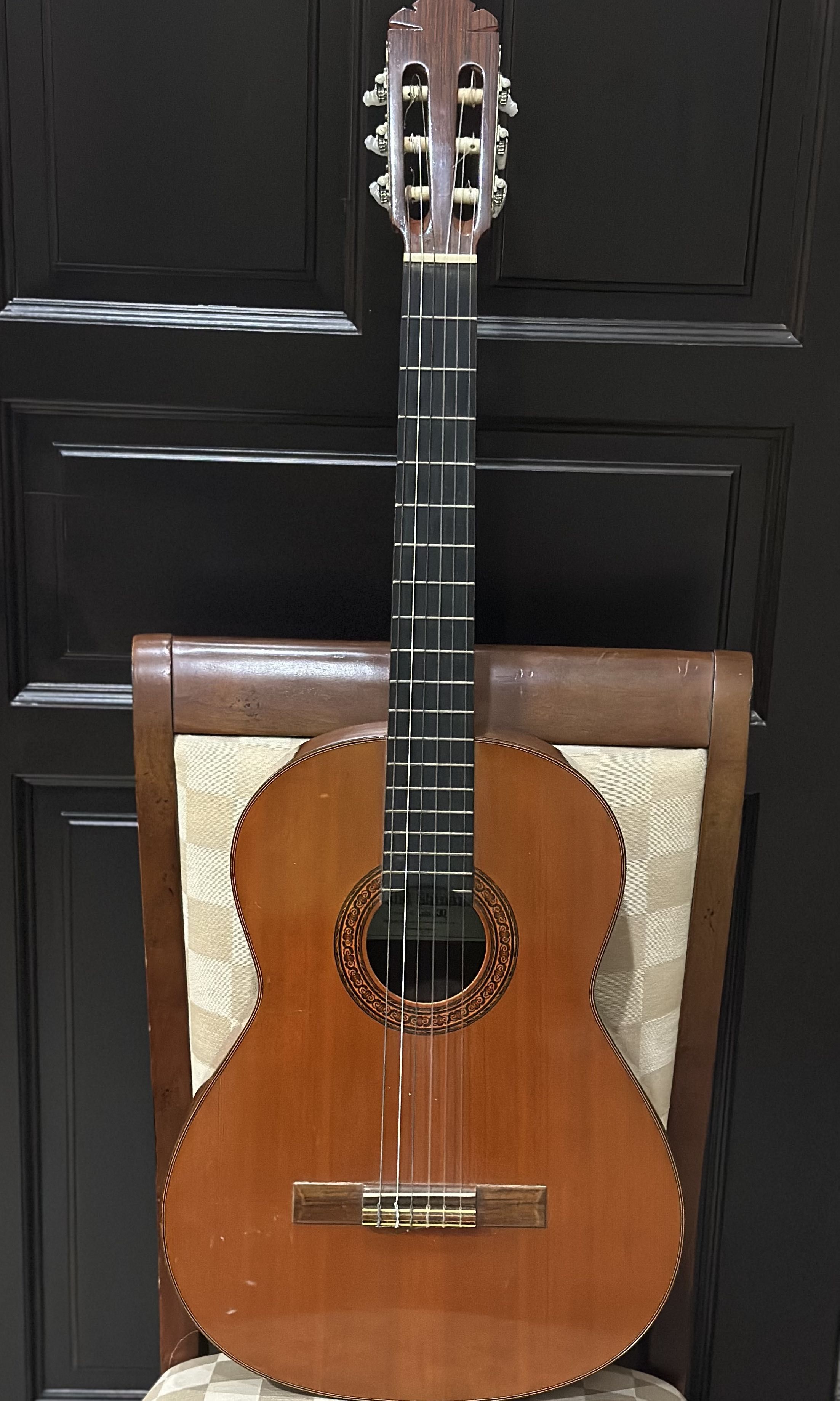 Concert classical online guitar for sale