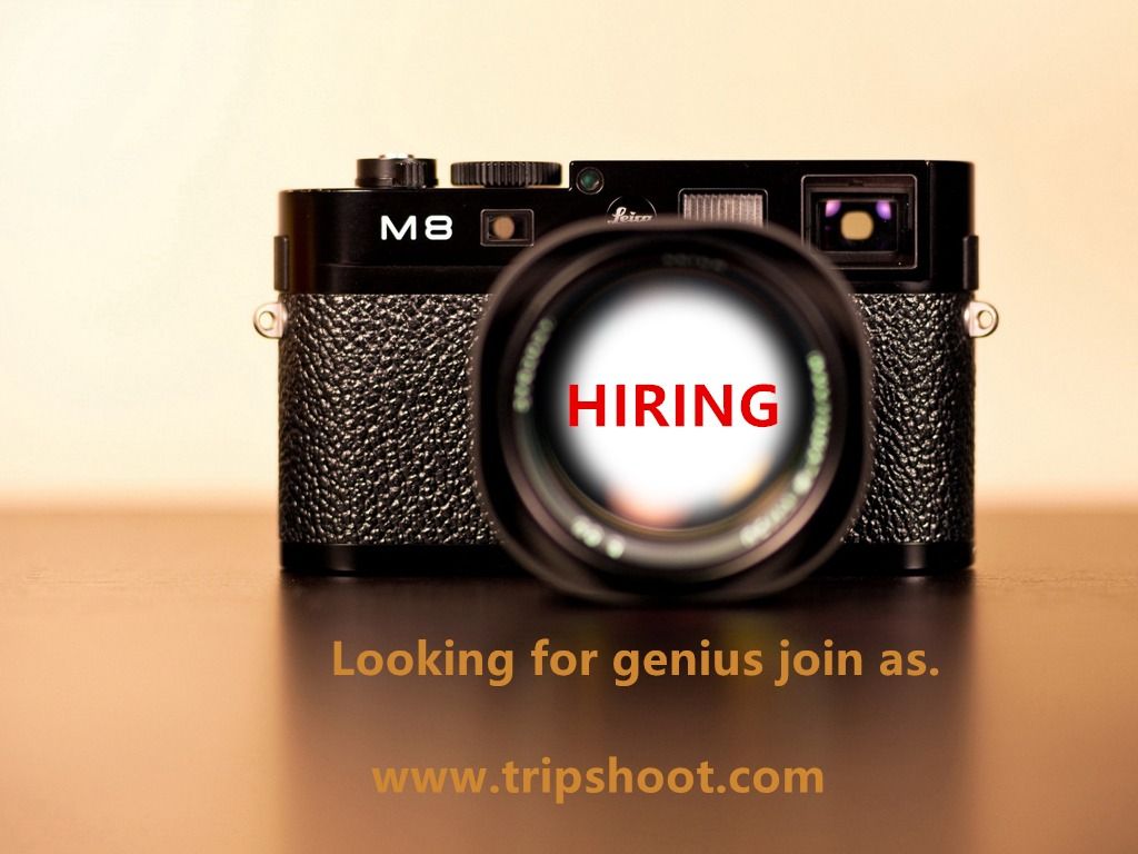 Look for a photographer assistant. , Jobs, Sales, Retail & Marketing on