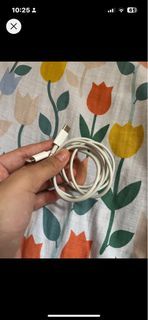 Original iphone charger