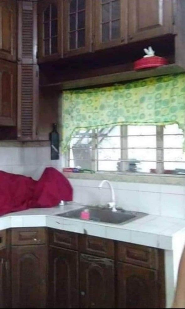 Pallas Athena house and lot, Property, For Sale, House & Lot on Carousell