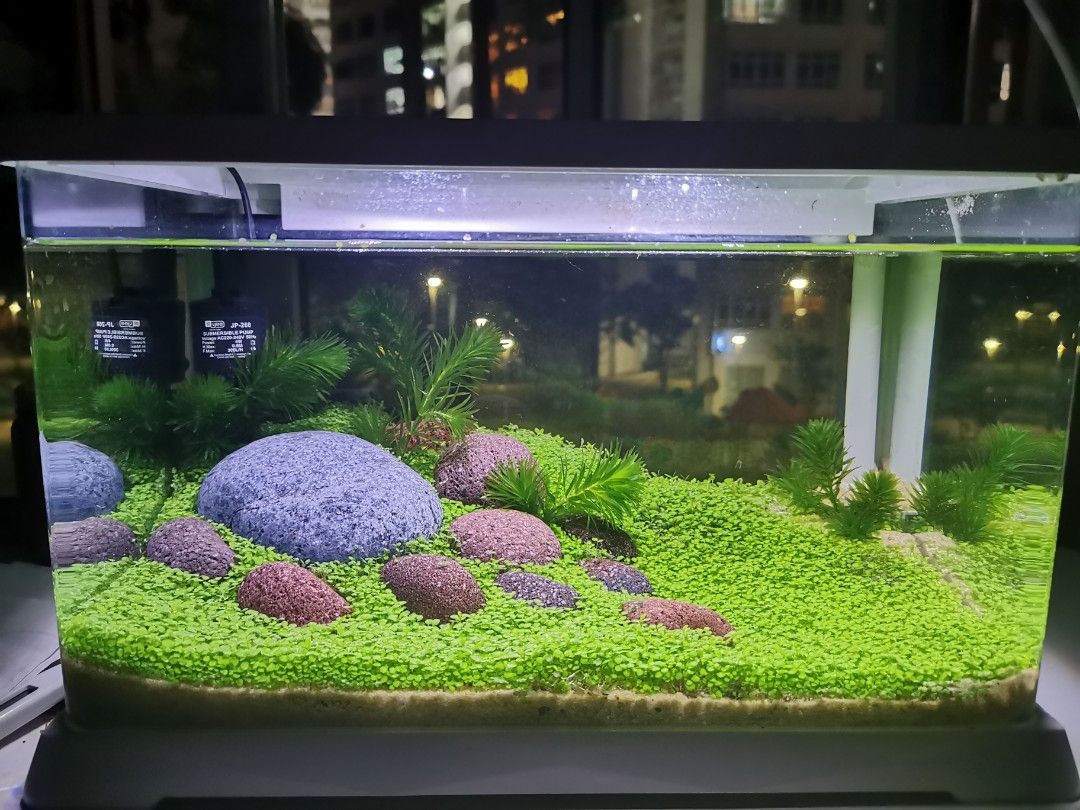 Planted aquarium on sale lighting for sale
