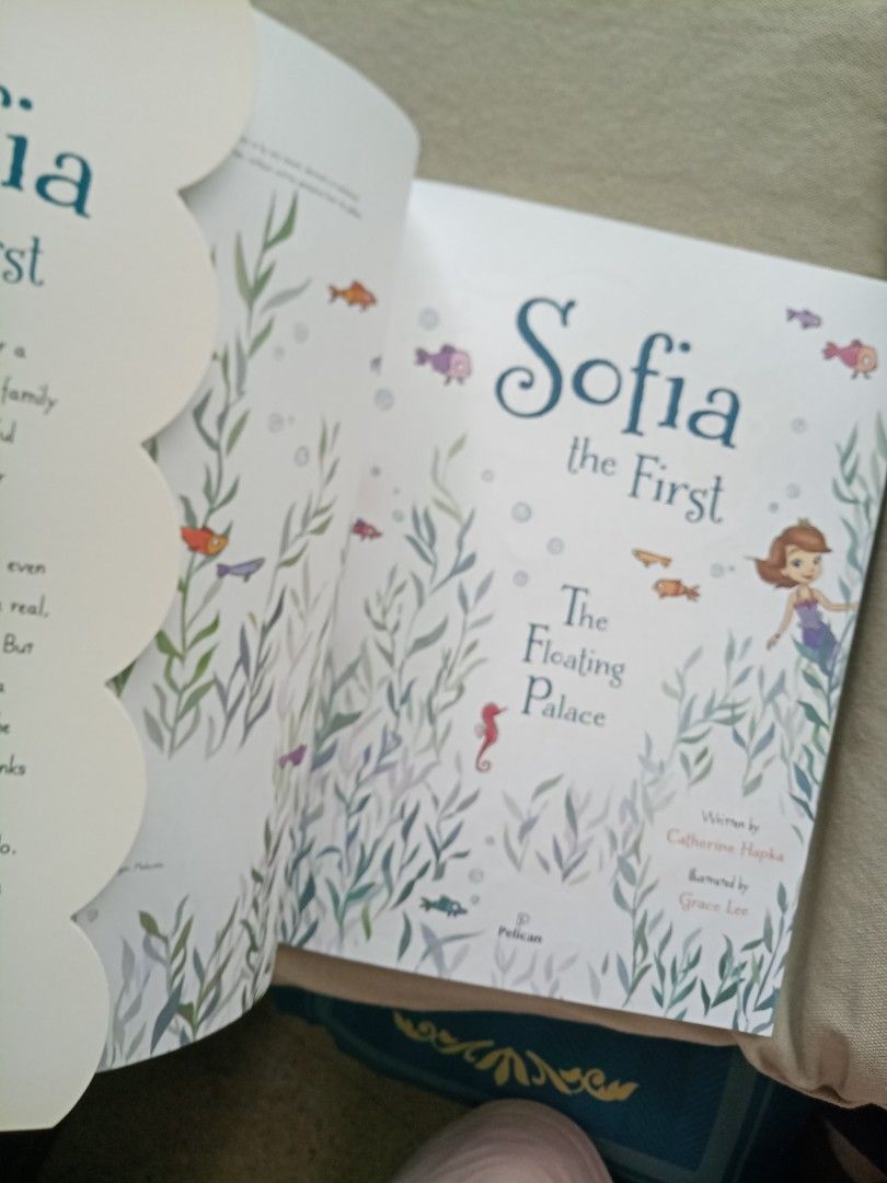 Sofia the first(the floating palace), Hobbies & Toys, Books & Magazines