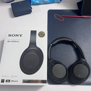 Sony hotsell wh 100m3