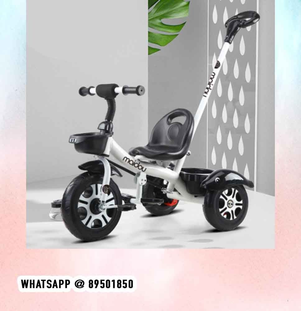 tricycle for 6 month old