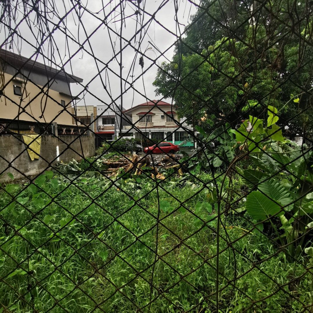 Vista Verde Executive Village, Property, For Sale, House & Lot on Carousell