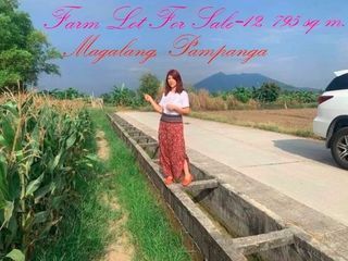 12,795 sqm Farm Lot in Magalang Pampanga