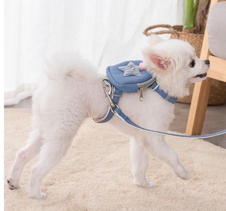 1.2M Dog Harness Backpack and Leash Set Cute Pocket Print Mesh Detachable Puppy Harness Pet Travel Hiking Food Carrier LNG0204