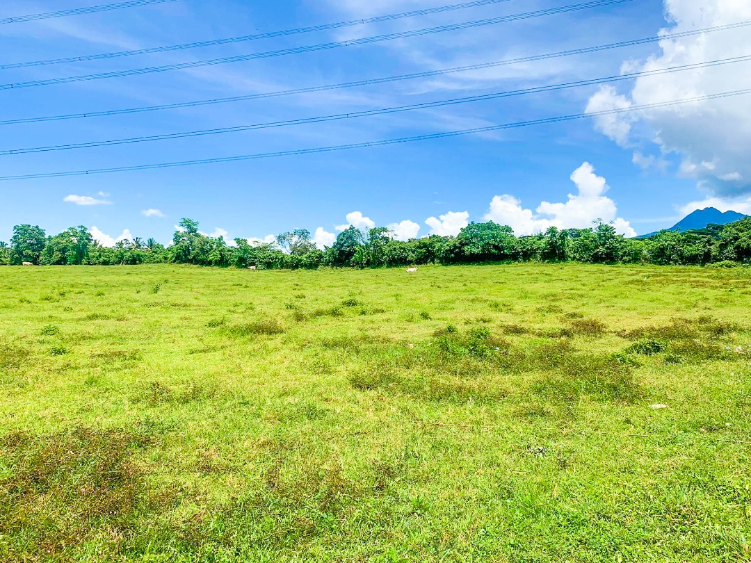 31K SQM Lot for Sale Tanauan Batangas Near Star Tollway Agricultural
