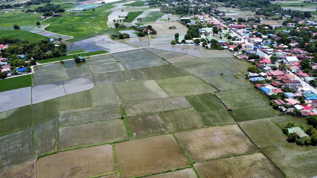 5.5 Hectares of Farm Lot In Lubao Pampanga, Property, For Sale, Lot on