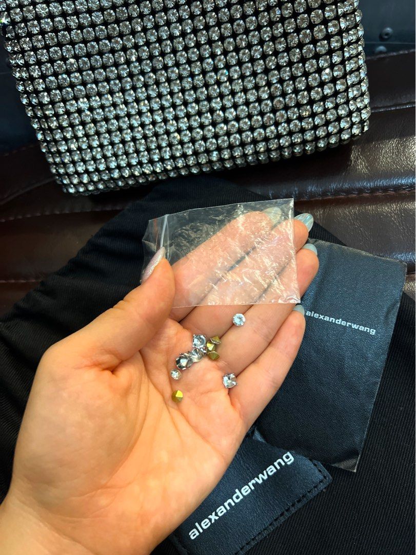 Alexander Wang rhinestone bag