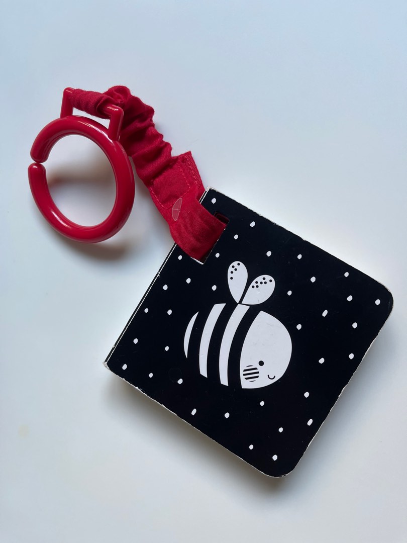 Baby Touch Buggy Book, Hobbies & Toys, Books & Magazines, Children's Books on Carousell