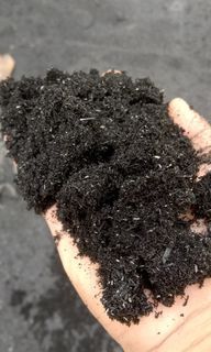 Carbonized rice hull