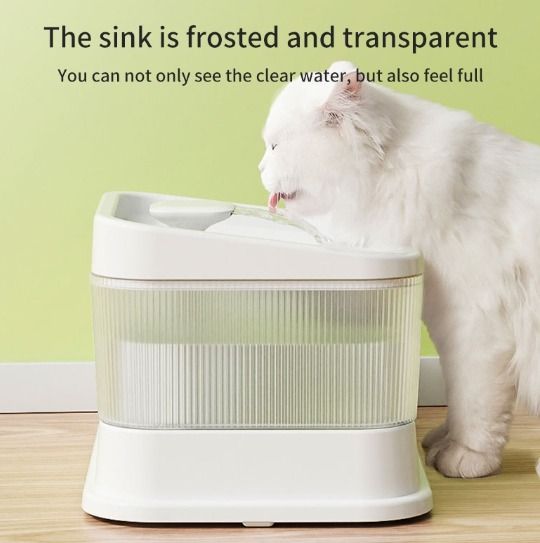 Electric cat bowl clearance