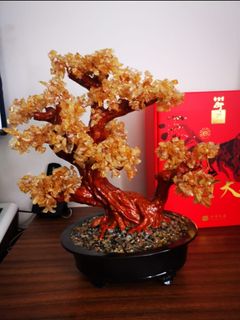 (Category: ) located in . Submitted by sharonng88 (Listing ID 1246268159, Image 1). Description: .