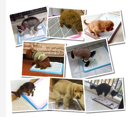 Ugodog potty tray discount