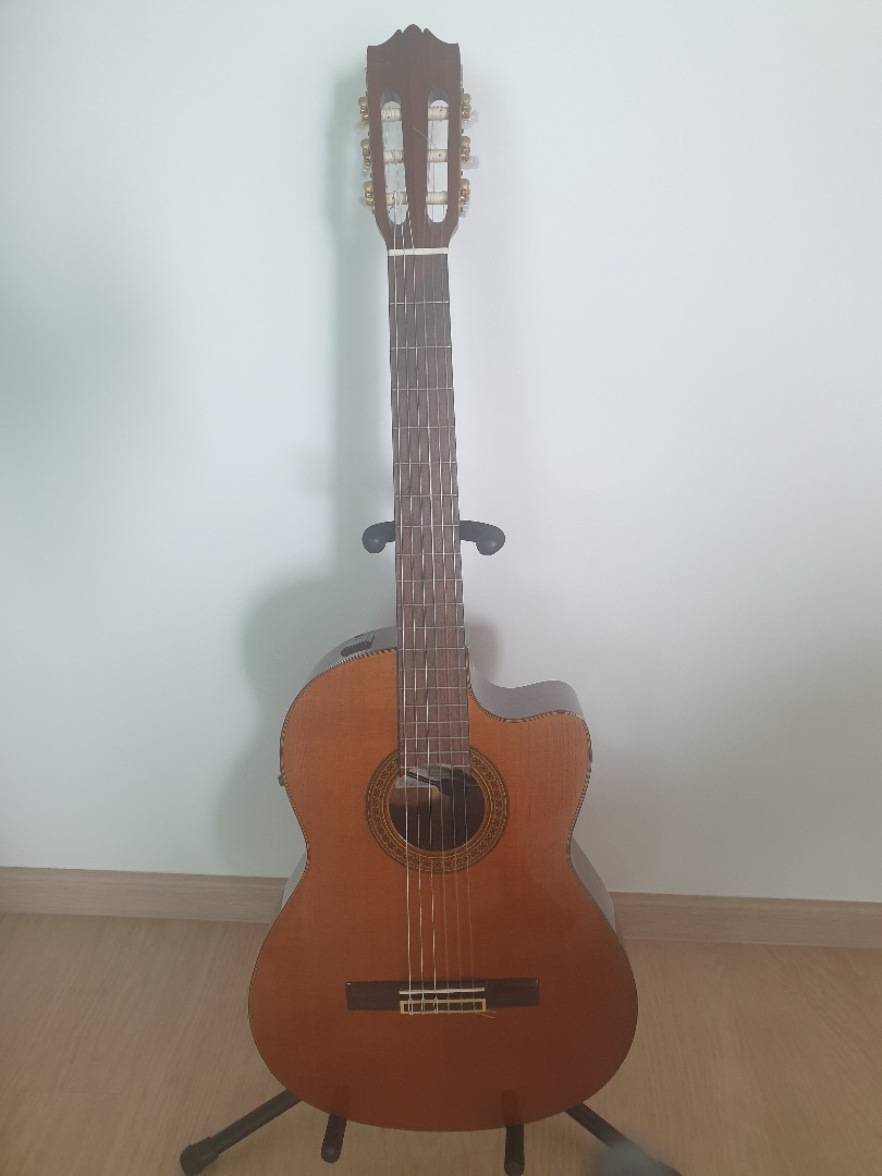 Yamaha CGX171CCA Concert Classical Guitar w pickup Hobbies Toys