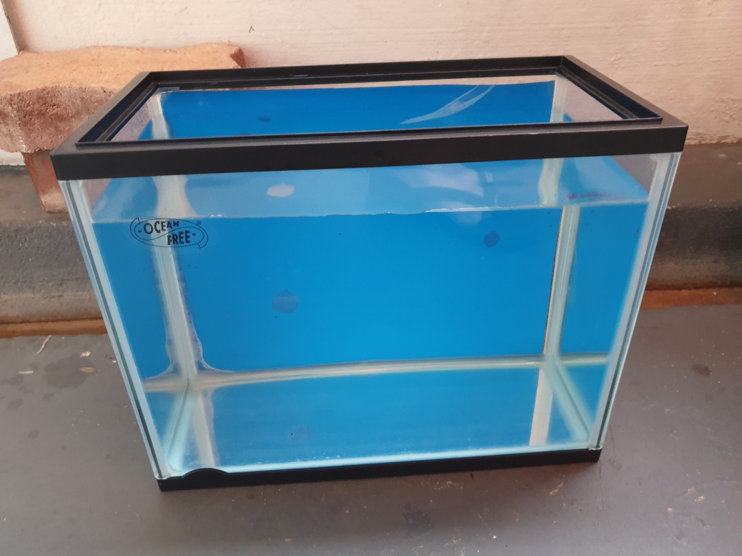 1 feet Fish tank, Pet Supplies, Homes & Other Pet Accessories on Carousell