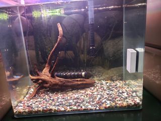 （分類：）位於 。 由 andyrook 提交（商品編號 1246325019，圖片 1）。簡介： 。