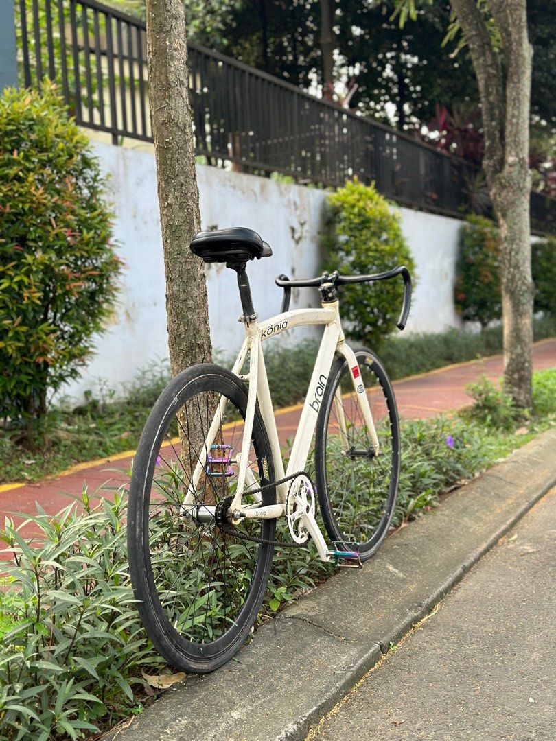 Fixie 2024 brain konig