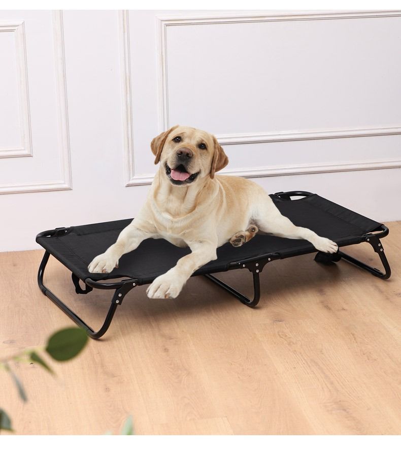 Elevated dog on sale bed frame