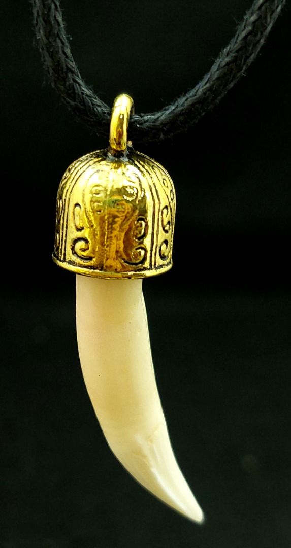 Genuine Crocodile tooth 40 x 9.8mm pendant with adjustable slide cord necklace of maximum cord length of 70cm Men s Fashion Watches Accessories Jewelry on Carousell