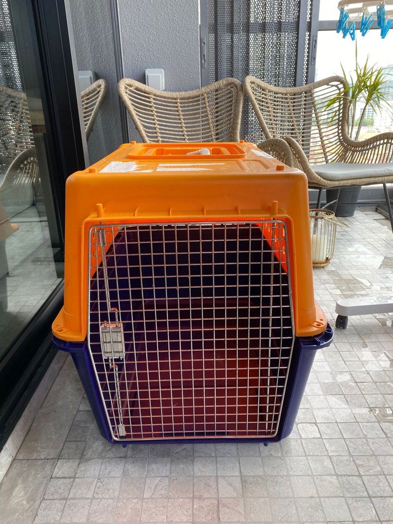 Jetpet IATA flight approved pet crate / dog crate, Pet Supplies, Homes