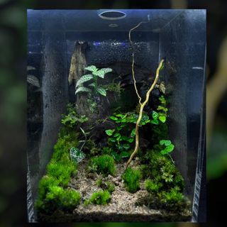 (Category: ) located in . Submitted by chuary_pt (Listing ID 1246209307, Image 1). Description: .