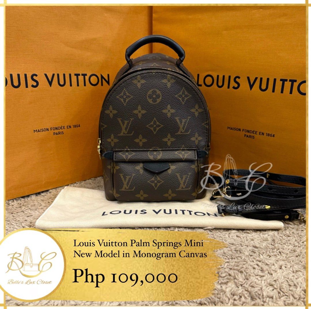 Louis Vuitton Monogram Canvas Mini Palm Springs Backpack Louis Vuitton |  The Luxury Closet