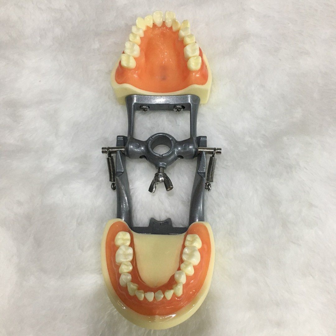 Oral Surgery Simple Articulator on Carousell
