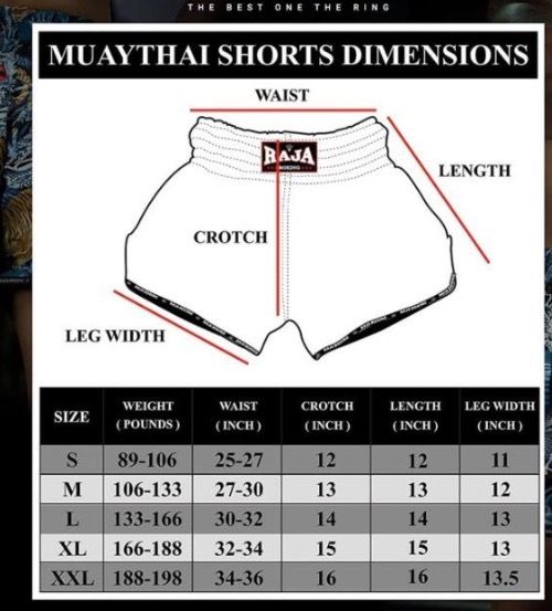 Everlast muay thai clearance shorts