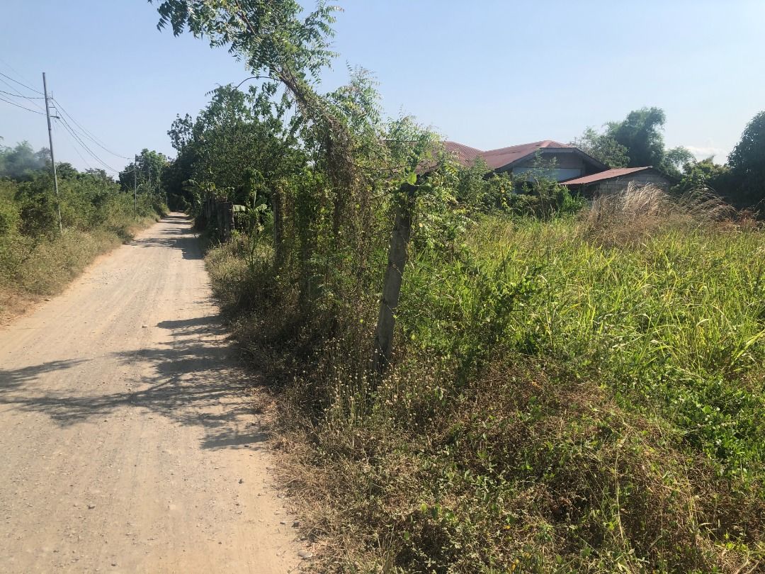 Residential Lot Jaen Nueva Ecija, Property, For Sale, Lot on Carousell