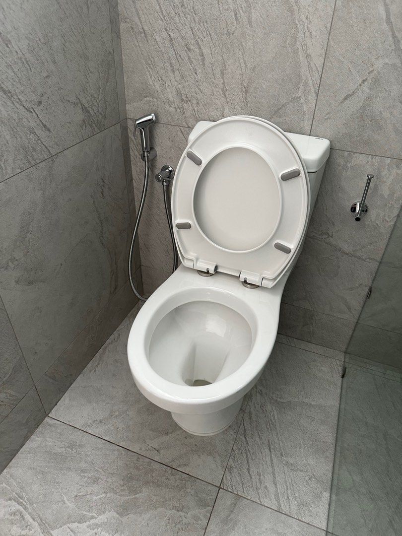 RIGEL S type Ceramic Bathroom / Toilet Bowl Rimless Closed Coupled