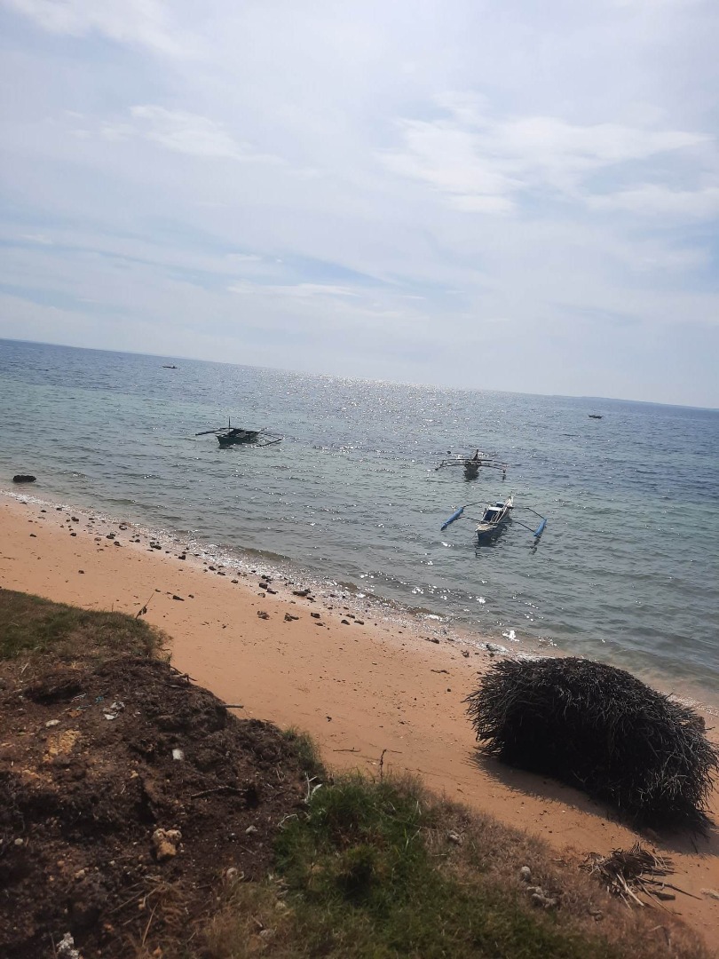 907 sqm beach lot for sale at Daanbantayan Cebu Philippines 5m negotiable, Property, For Sale