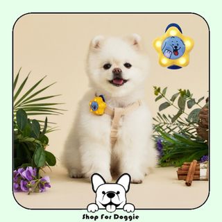 （分類：）位於 。 由 shopfordoggie 提交（商品編號 1201755140，圖片 1）。簡介： 。