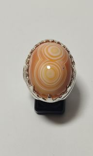 (Category: ) located in . Submitted by hk_accessories (Listing ID 1241164278, Image 1). Description: .